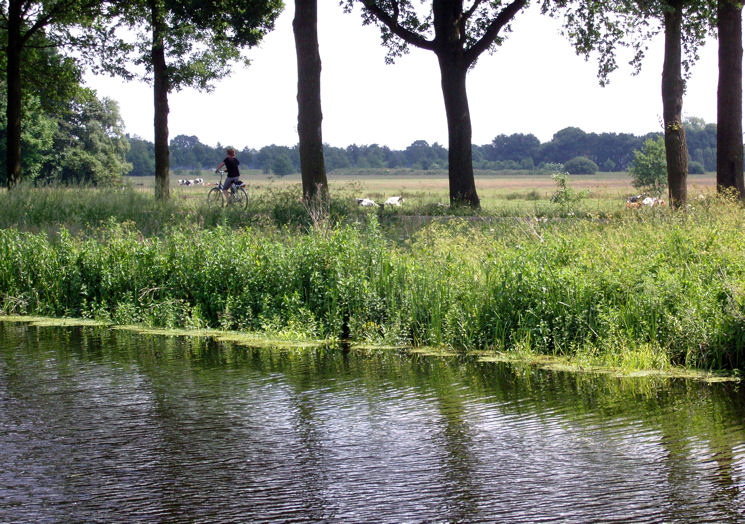 photo "waterside-2" tags: landscape, summer