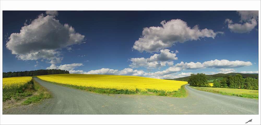 photo "yellow peninsula" tags: landscape, summer