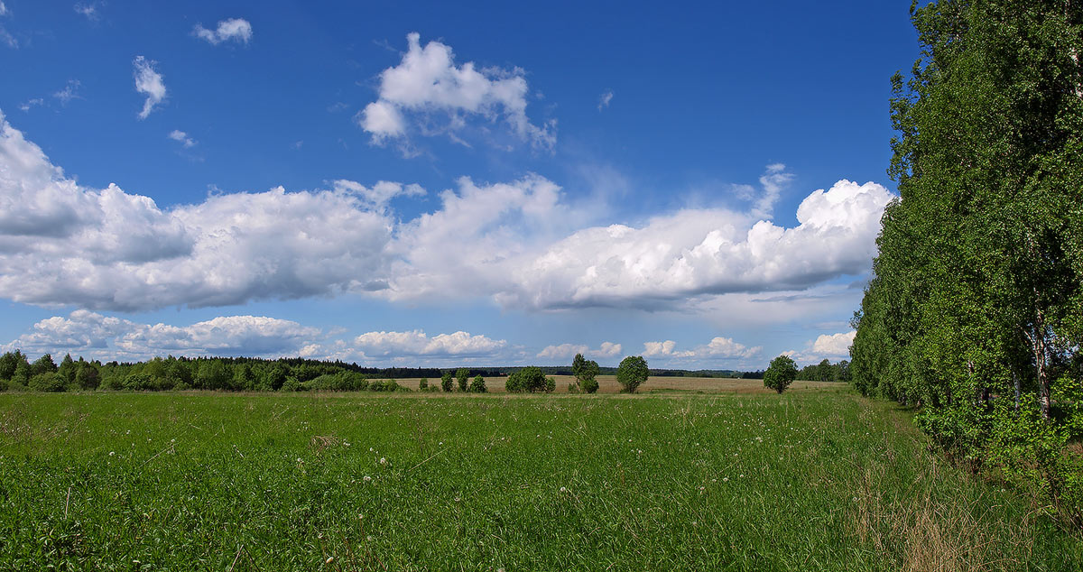 photo "***" tags: , 