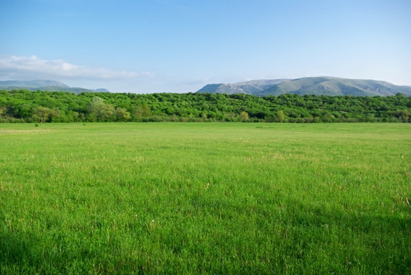 photo "Big Clam" tags: landscape, spring