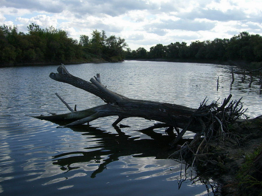фото "Река Тобол" метки: пейзаж, вода
