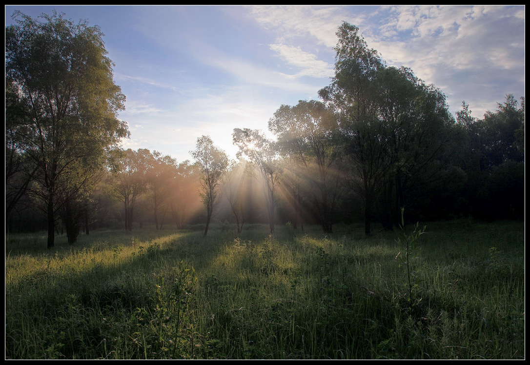 photo "Sun Mill" tags: landscape, forest, sunset