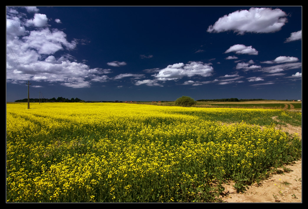 photo "***" tags: landscape, summer