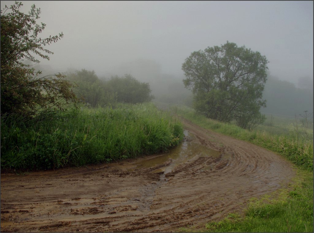 photo "The Turn" tags: landscape, summer