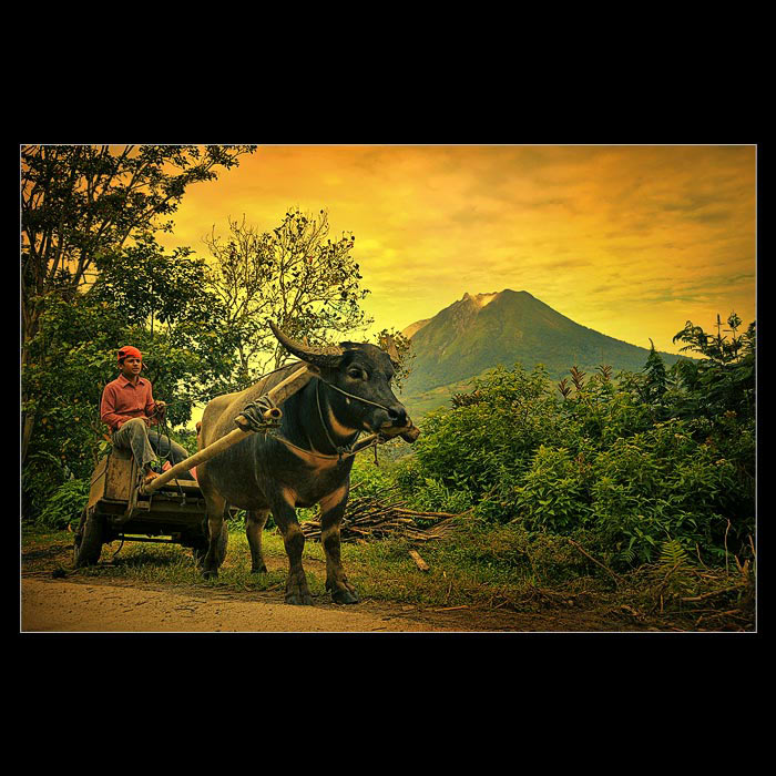 photo "Ucok" tags: portrait, children