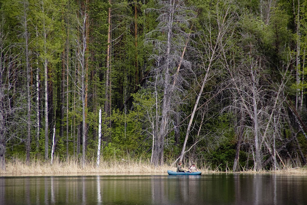 photo "***" tags: landscape, forest, summer