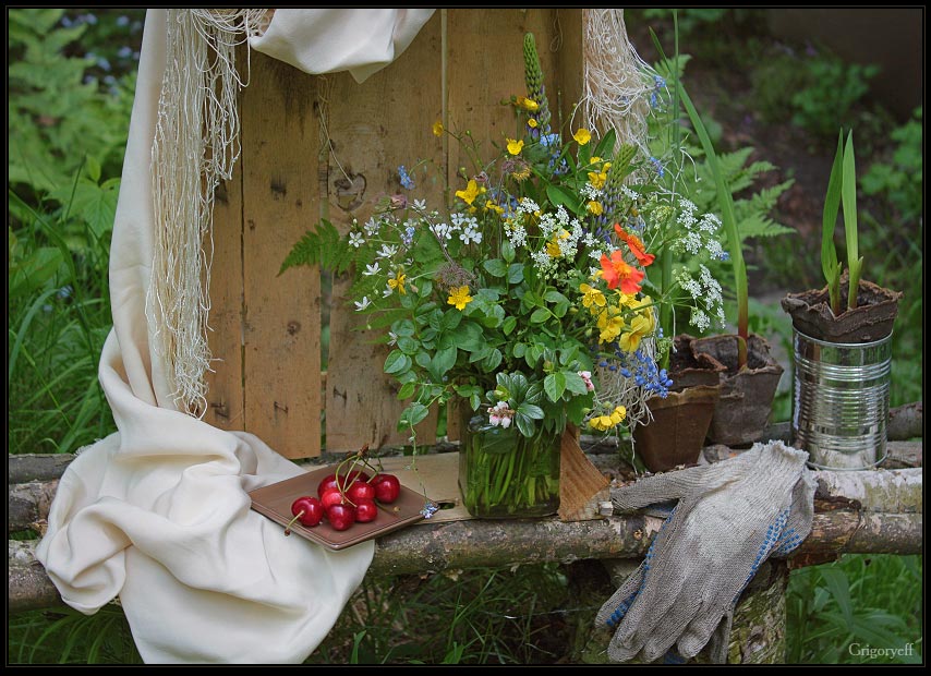 photo "Still life on garden bench" tags: still life, 