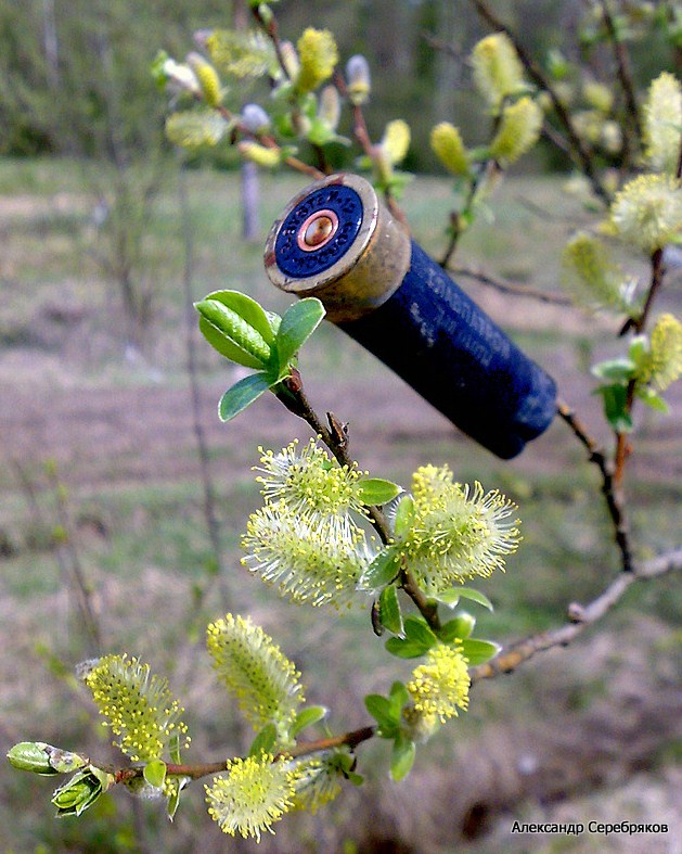 фото "Опасные игры..." метки: природа, фрагмент, 