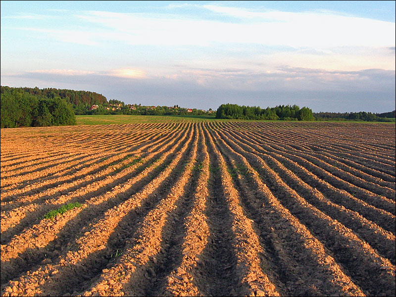 photo "***" tags: landscape, spring