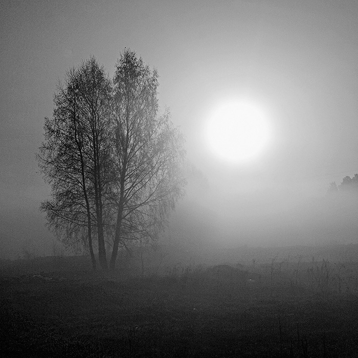 фото "Утро" метки: пейзаж, закат