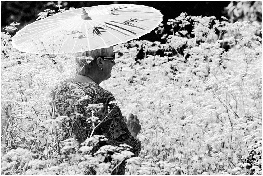 photo "Chinese umbrella" tags: black&white, 