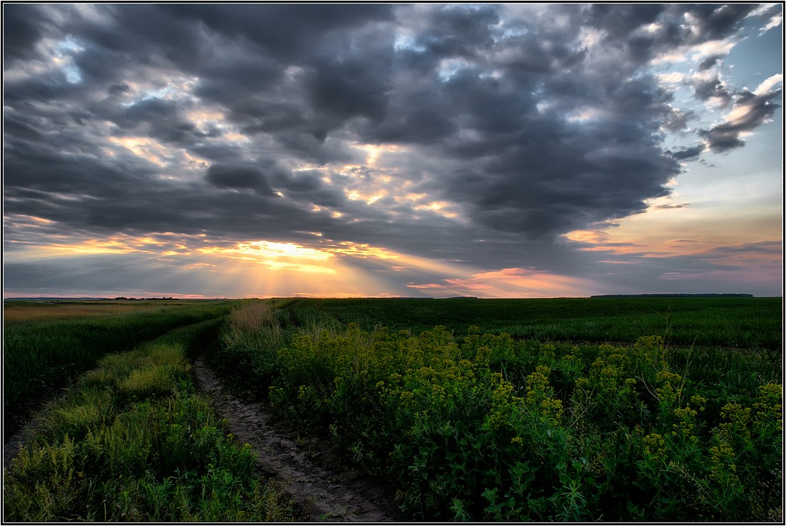 photo "***" tags: landscape, summer