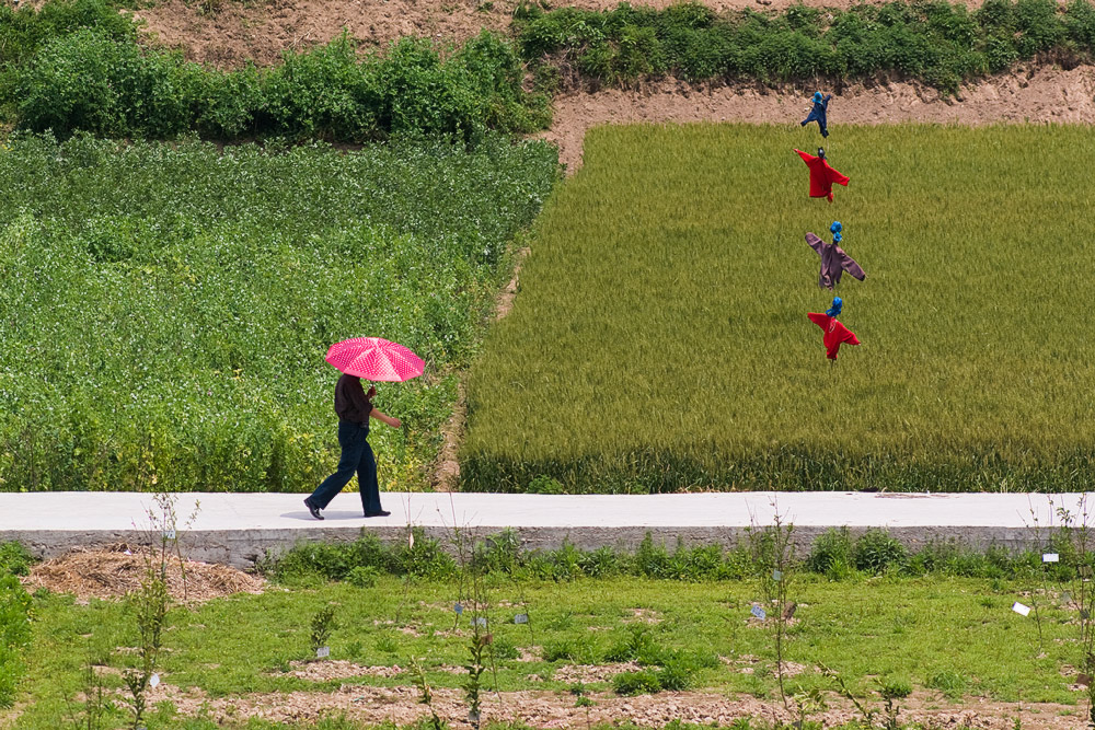 photo "***" tags: travel, reporting, Asia