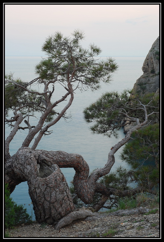 photo "***" tags: landscape, mountains