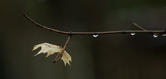 photo "A Delicate Balance" tags: misc., 