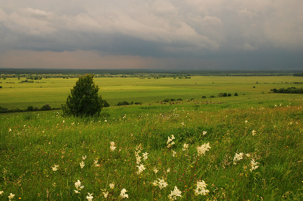 photo "***" tags: landscape, summer