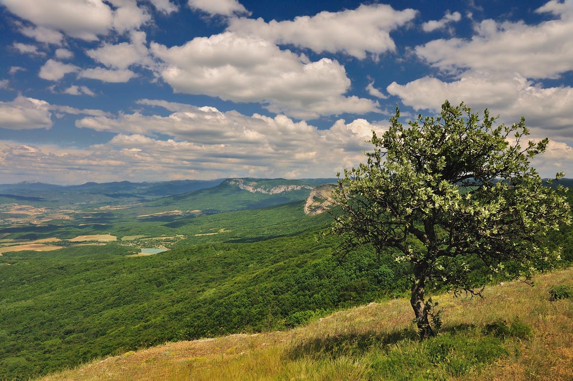 photo "***" tags: landscape, mountains