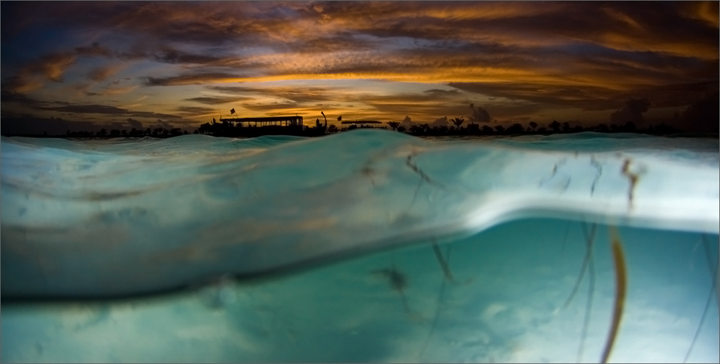 photo "Sunset from the perspective of a dolphin" tags: , 