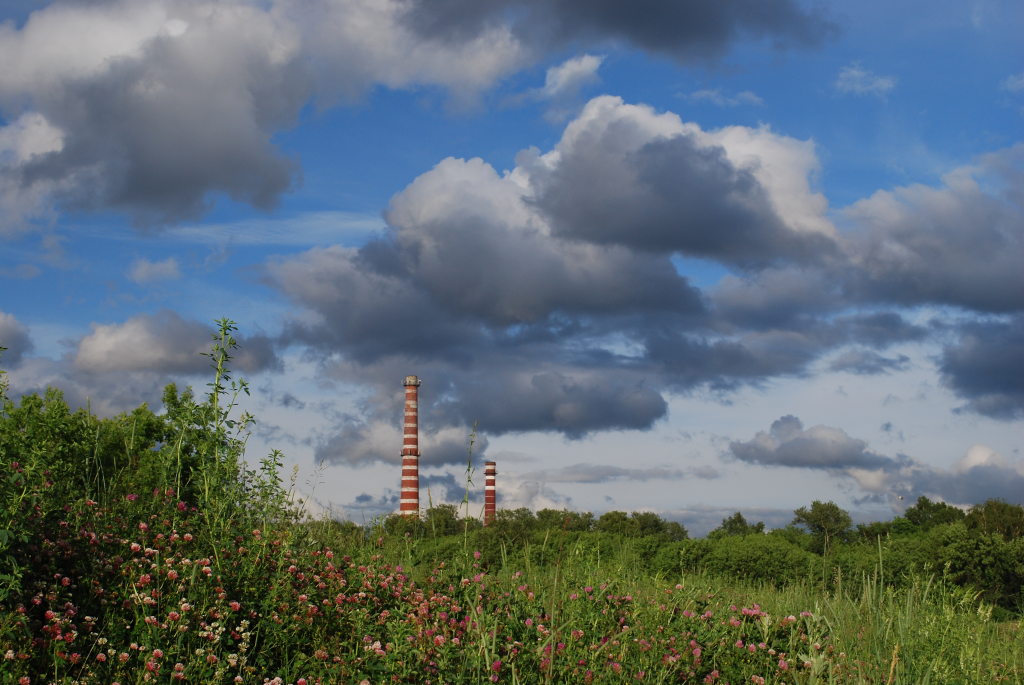 photo "Wind" tags: landscape, clouds, summer