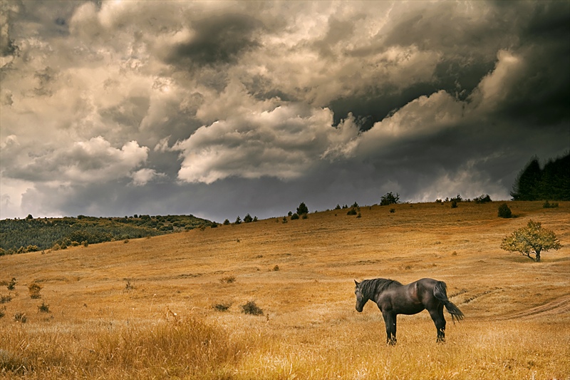 photo "***" tags: landscape, clouds