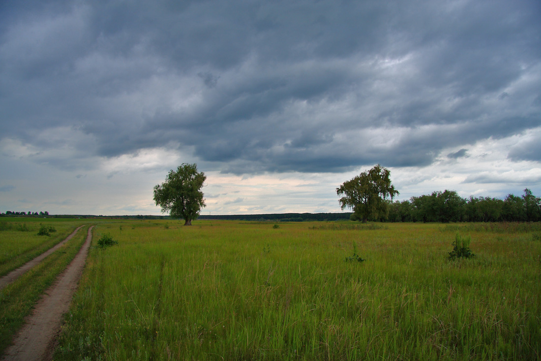 photo "***" tags: landscape, summer