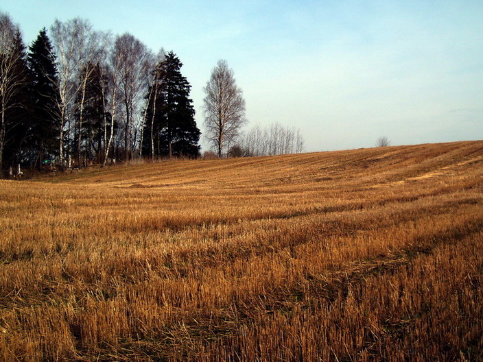 photo "***" tags: , 
