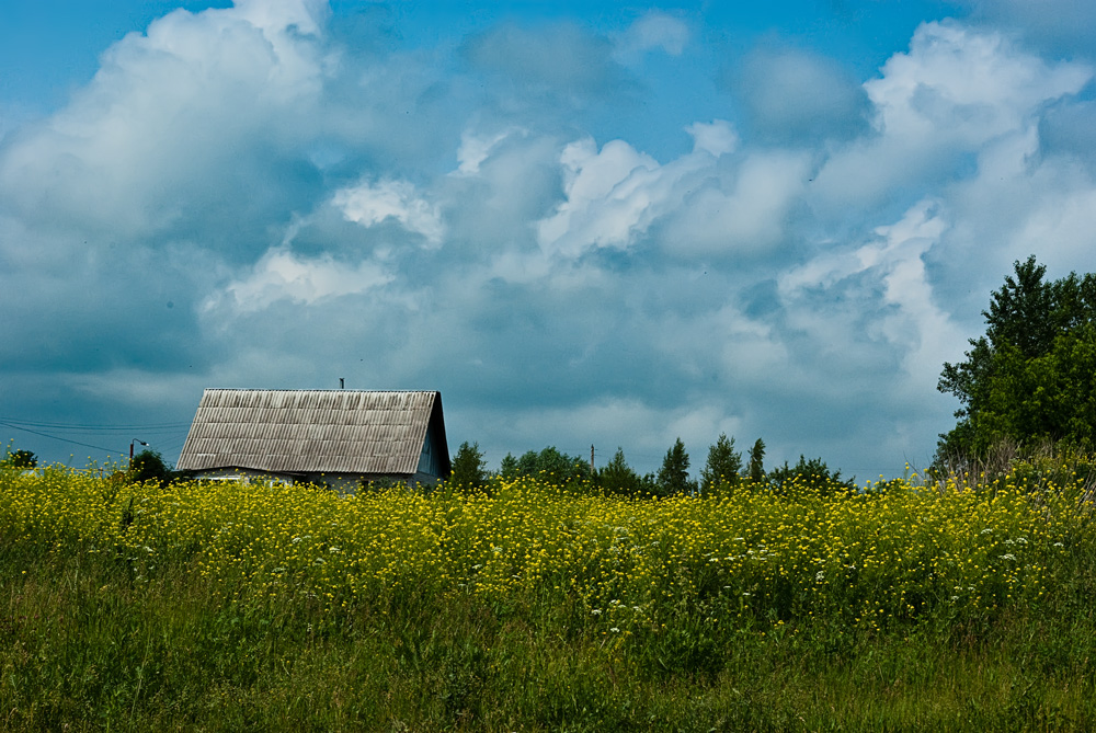 photo "The house in a grass" tags: landscape, clouds, summer