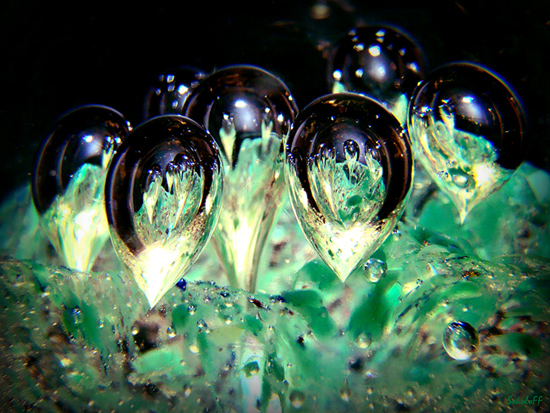 photo "макро" tags: macro and close-up, misc., 
