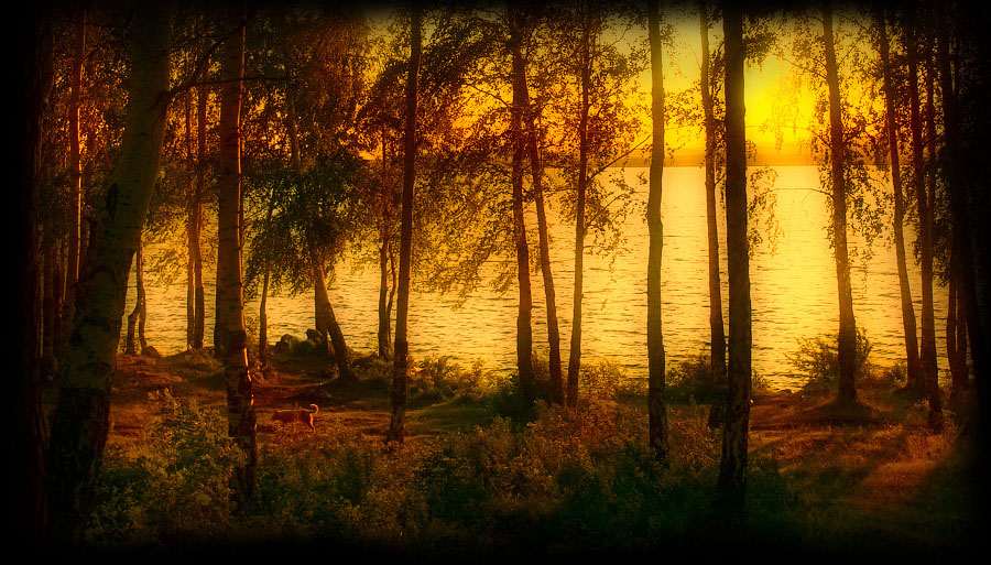 фото "Этюд в оранжевых тонах" метки: пейзаж, закат