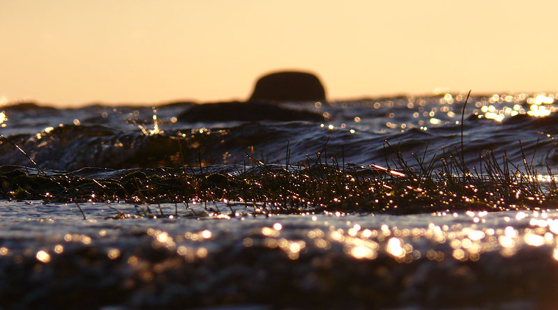 фото "Волосатые волны" метки: пейзаж, вода
