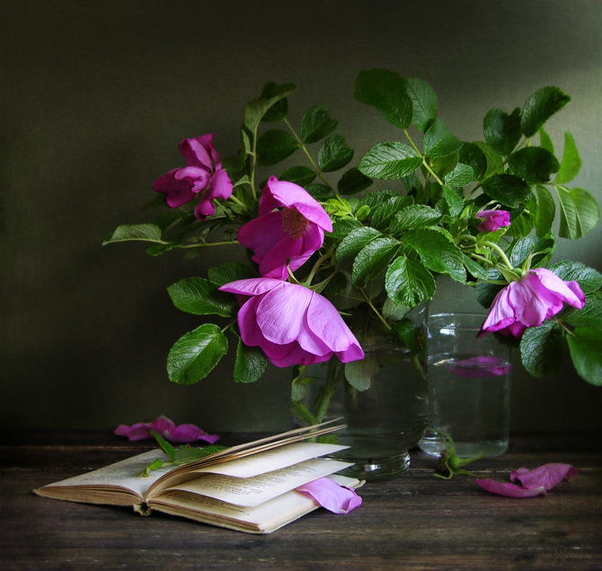 photo "Wild rose" tags: still life, 