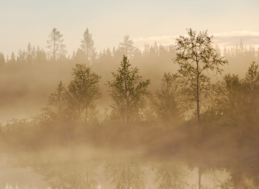 фото "Раннее утро на оз.Лиэкаярви" метки: пейзаж, вода, закат