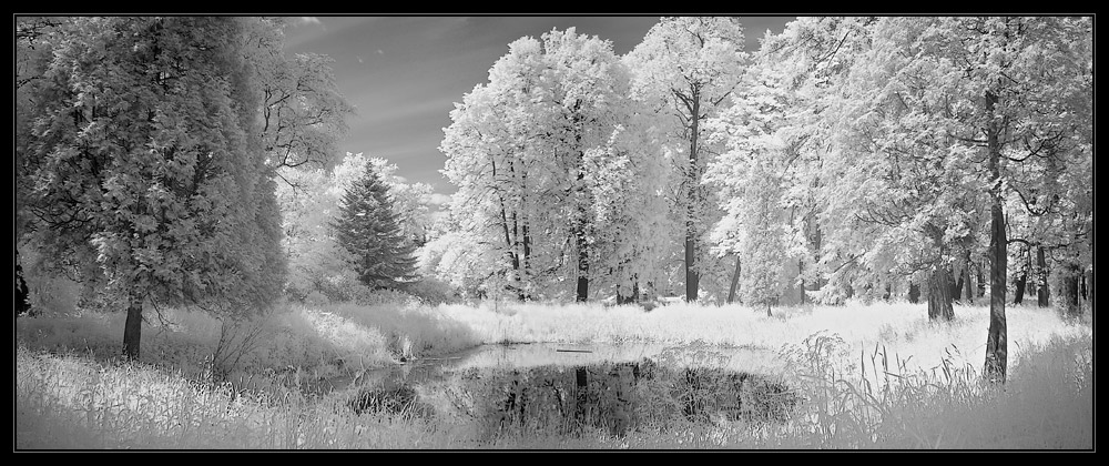 photo "In moonlight 2" tags: panoramic, landscape, infrared, summer