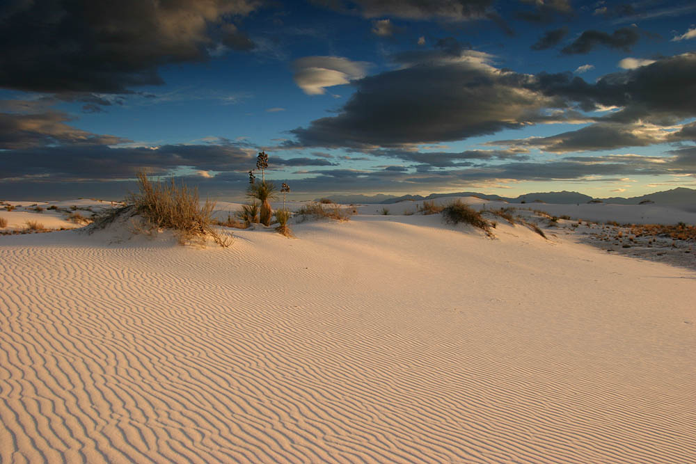 photo "Red sun of a desert" tags: landscape, travel, sunset