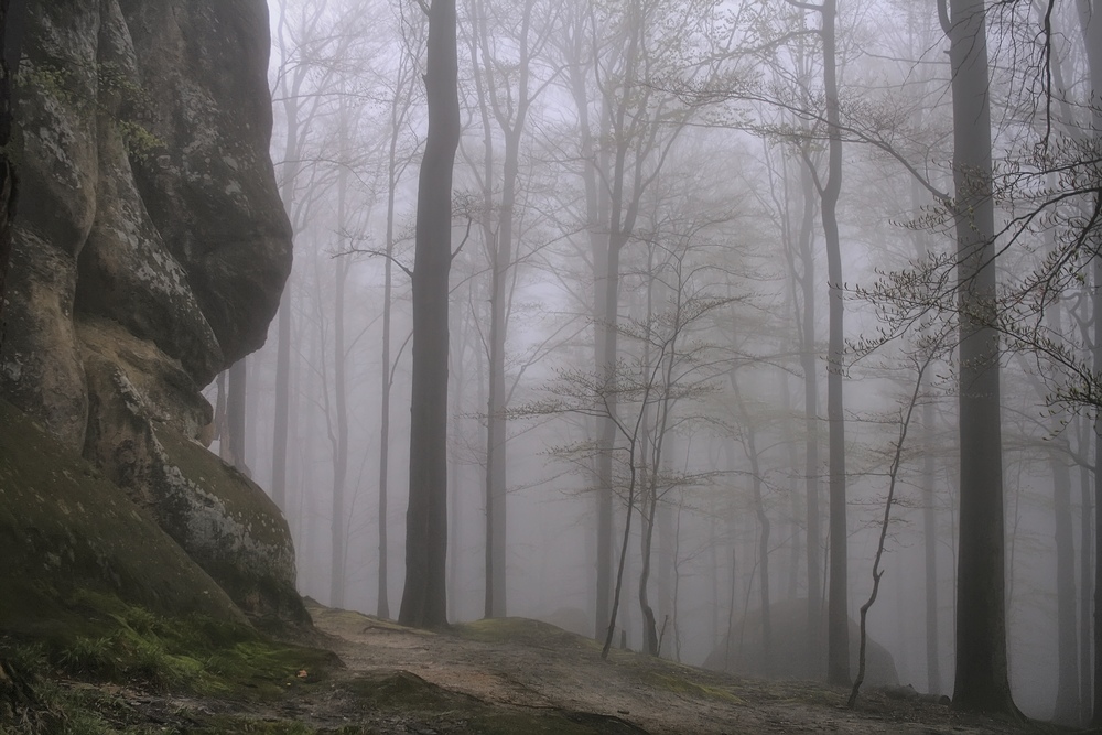 фото "В Карпатах" метки: пейзаж, весна, горы
