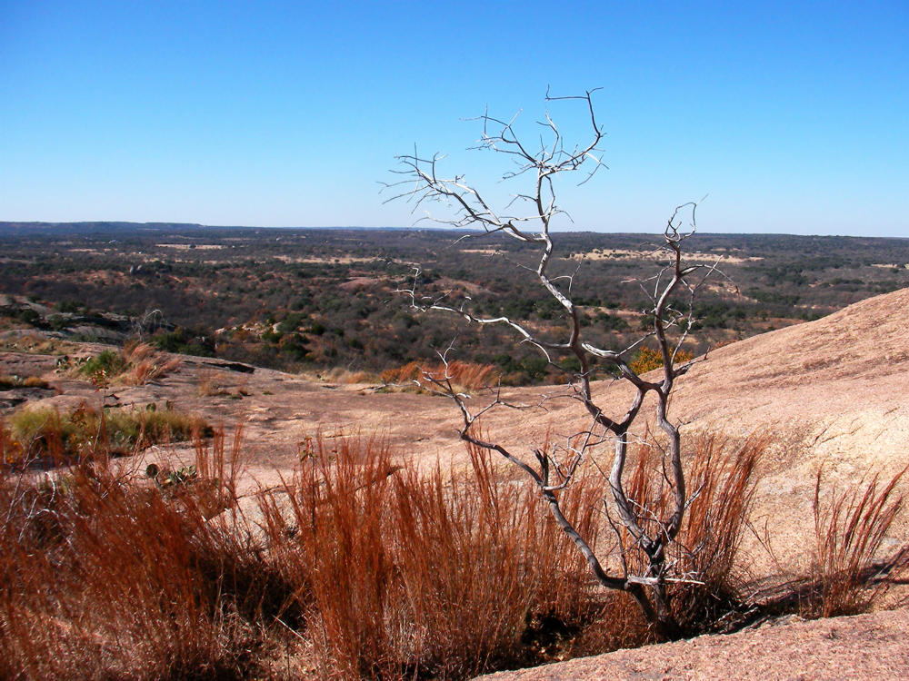 photo "Winter in Texas" tags: landscape, travel, North America