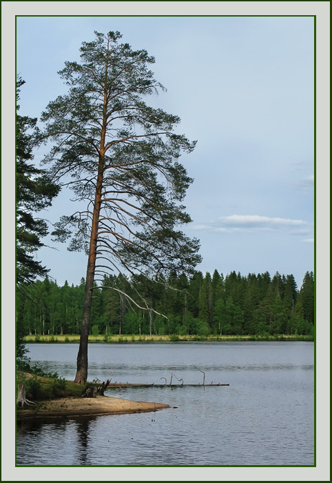 photo "***" tags: landscape, summer, water