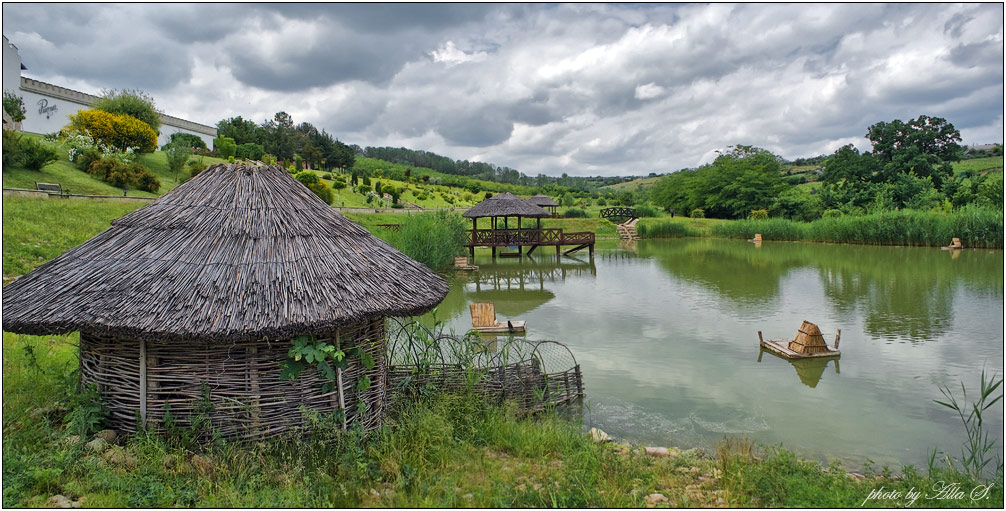 фото "Домик для лебедей" метки: пейзаж, вода, лето