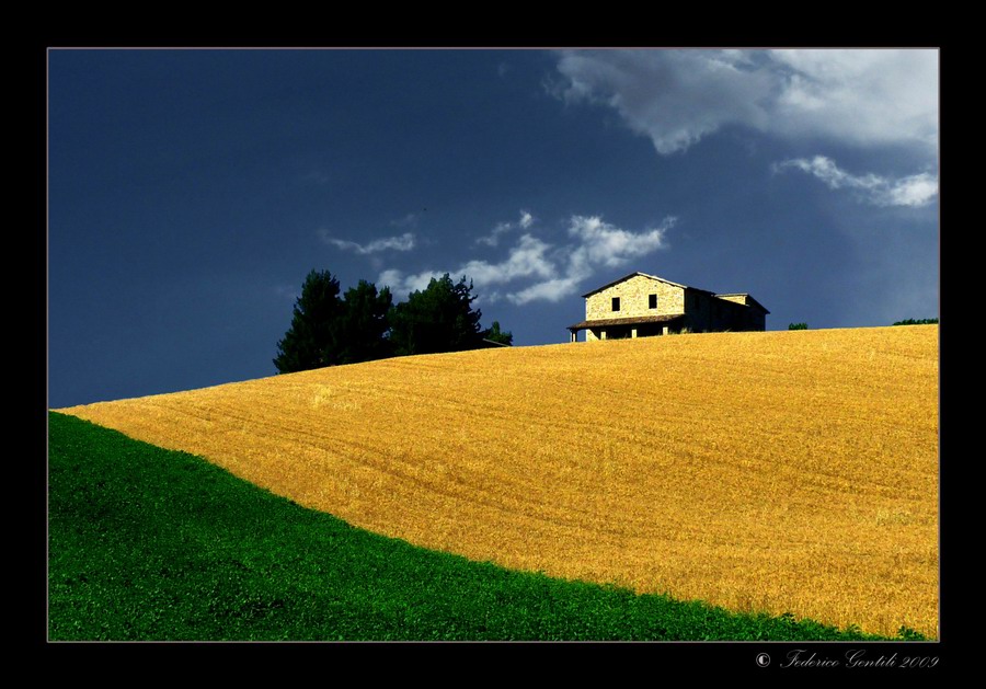 photo "Le Terre di Mezzo XI" tags: landscape, 