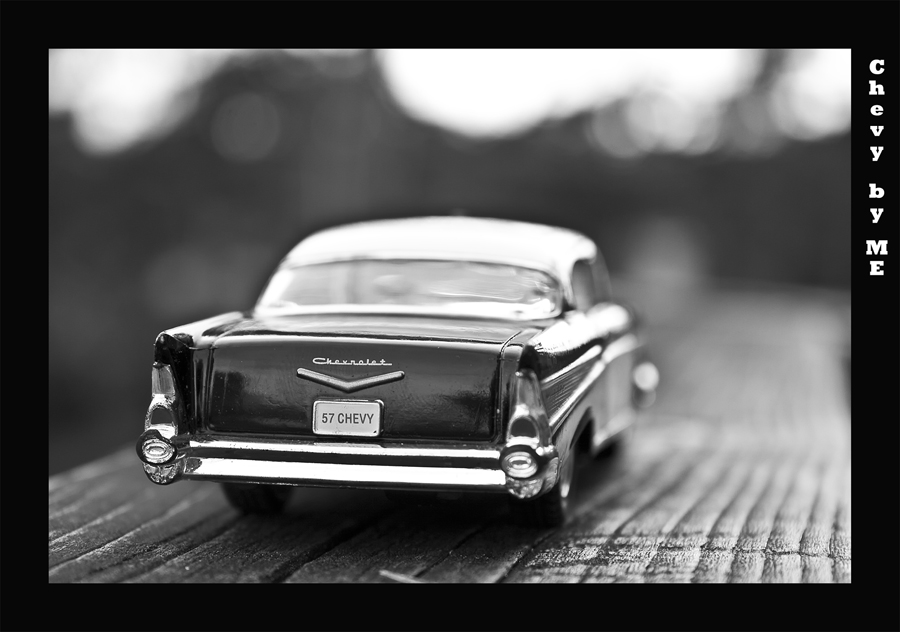 photo "***" tags: black&white, macro and close-up, 
