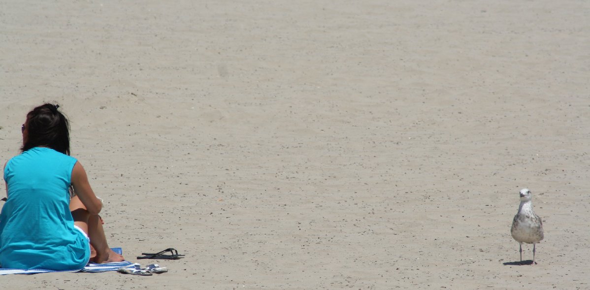 photo "meeting on the beach" tags: still life, 