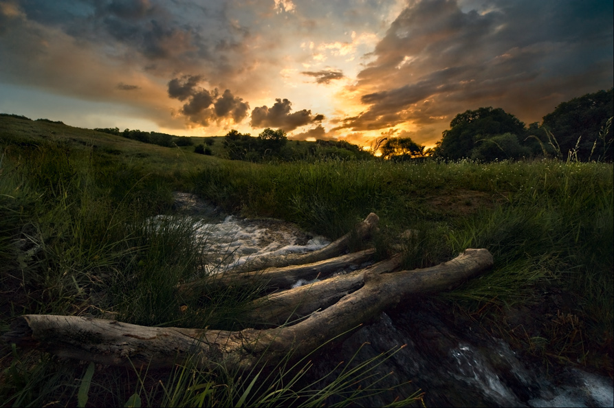 photo "***" tags: landscape, summer