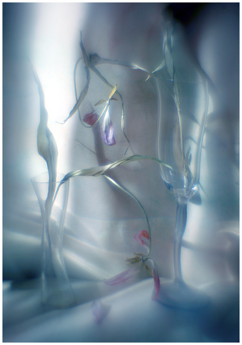 photo "Moonlight Dances" tags: still life, abstract, 