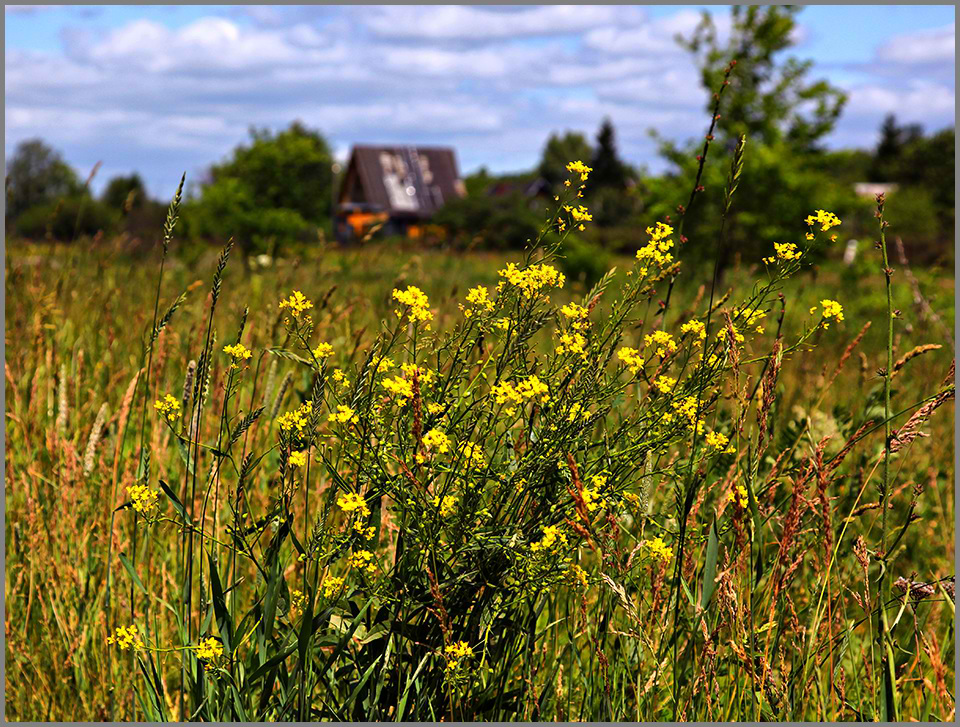 photo "***" tags: landscape, 