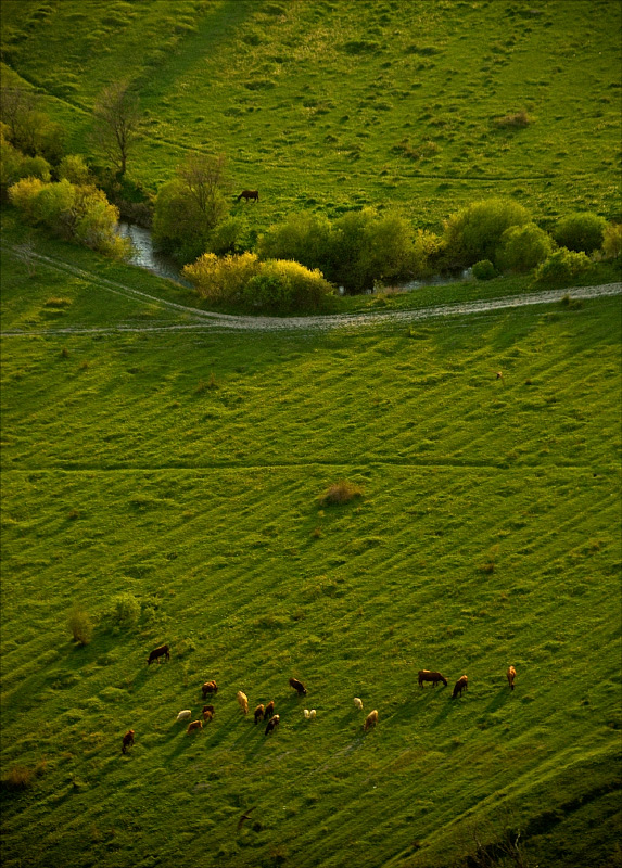 photo "***" tags: nature, landscape, 