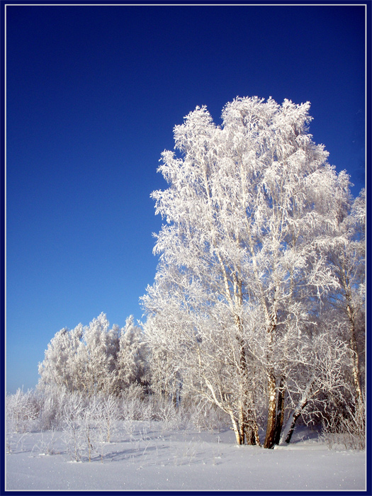 фото "Зимнее." метки: пейзаж, зима, лес