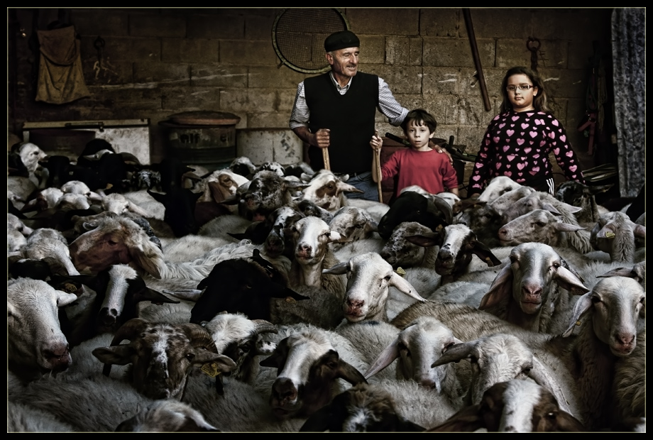 photo "Last Umbrian Shepherds" tags: genre, reporting, 