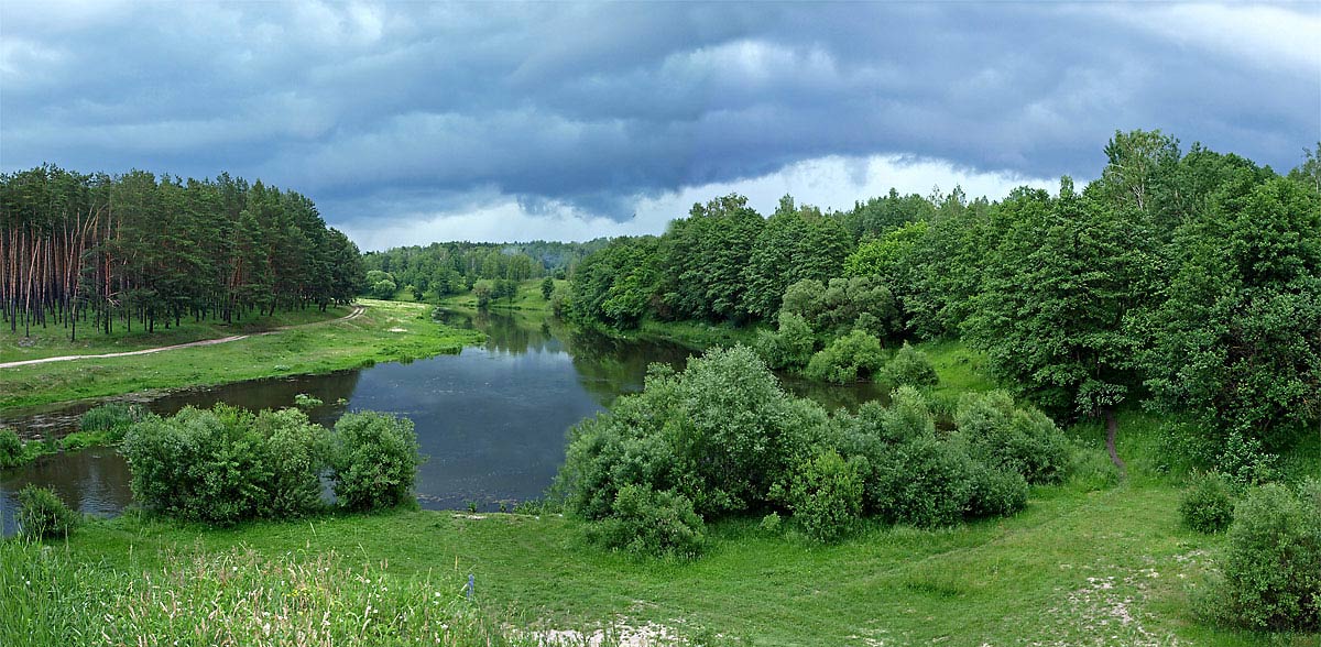 photo "Before the rain" tags: landscape, forest, water