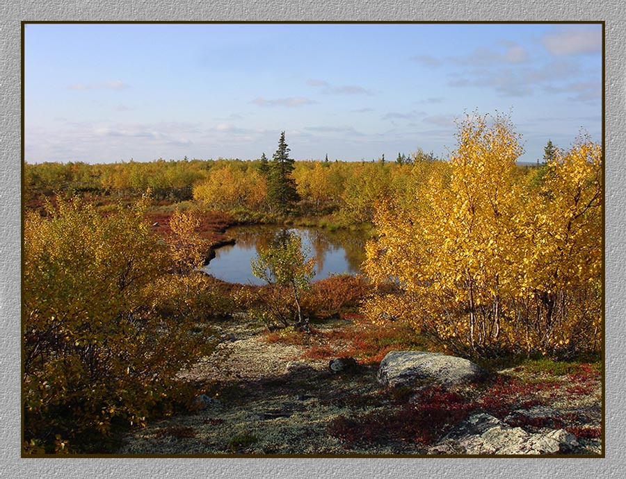 фото "Карельские зарисовки. Ловозеро." метки: пейзаж, лес, осень