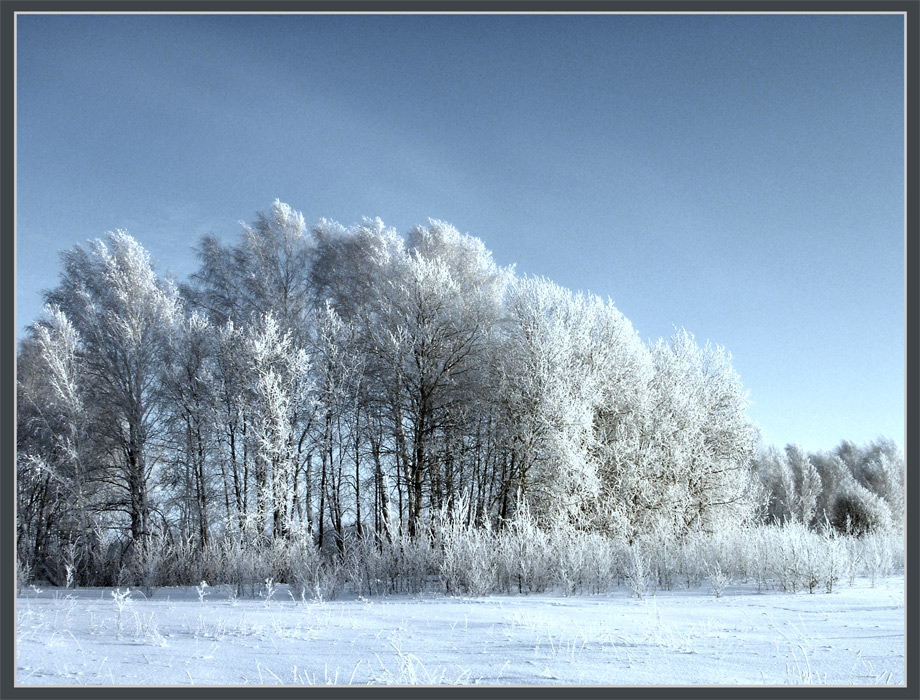 photo "***" tags: landscape, forest, winter